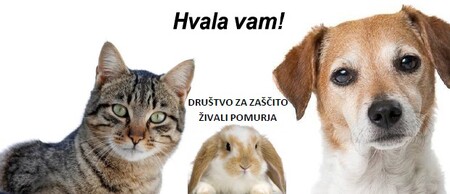 Društvo za zaščito živali Pomurja
