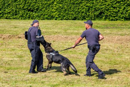 GrajskiDanSPolicistiDornava2024_38