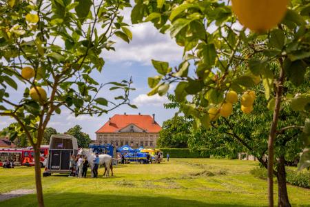 GrajskiDanSPolicistiDornava2024_52