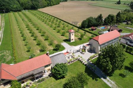 Obnovljena Oranžerija s sadovnjakom