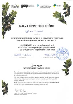 Izjava o pristopu občine