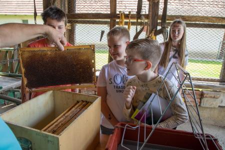 MladiČebelarji_2024_3