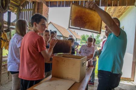 MladiČebelarji_2024_4