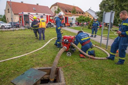 VajaPGDPolenšak_junij2024_9