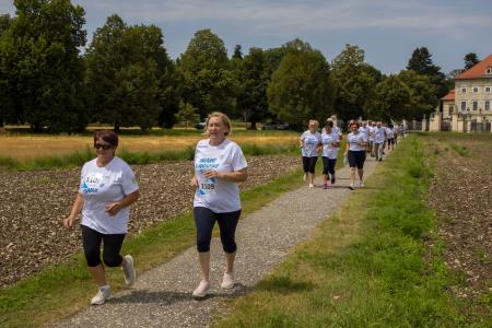 SlovenskaBaklaDornava