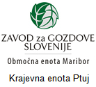 gozd